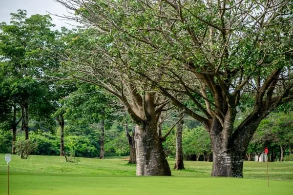 Celebrating World Earth Day: Commitment to Sustainable Living