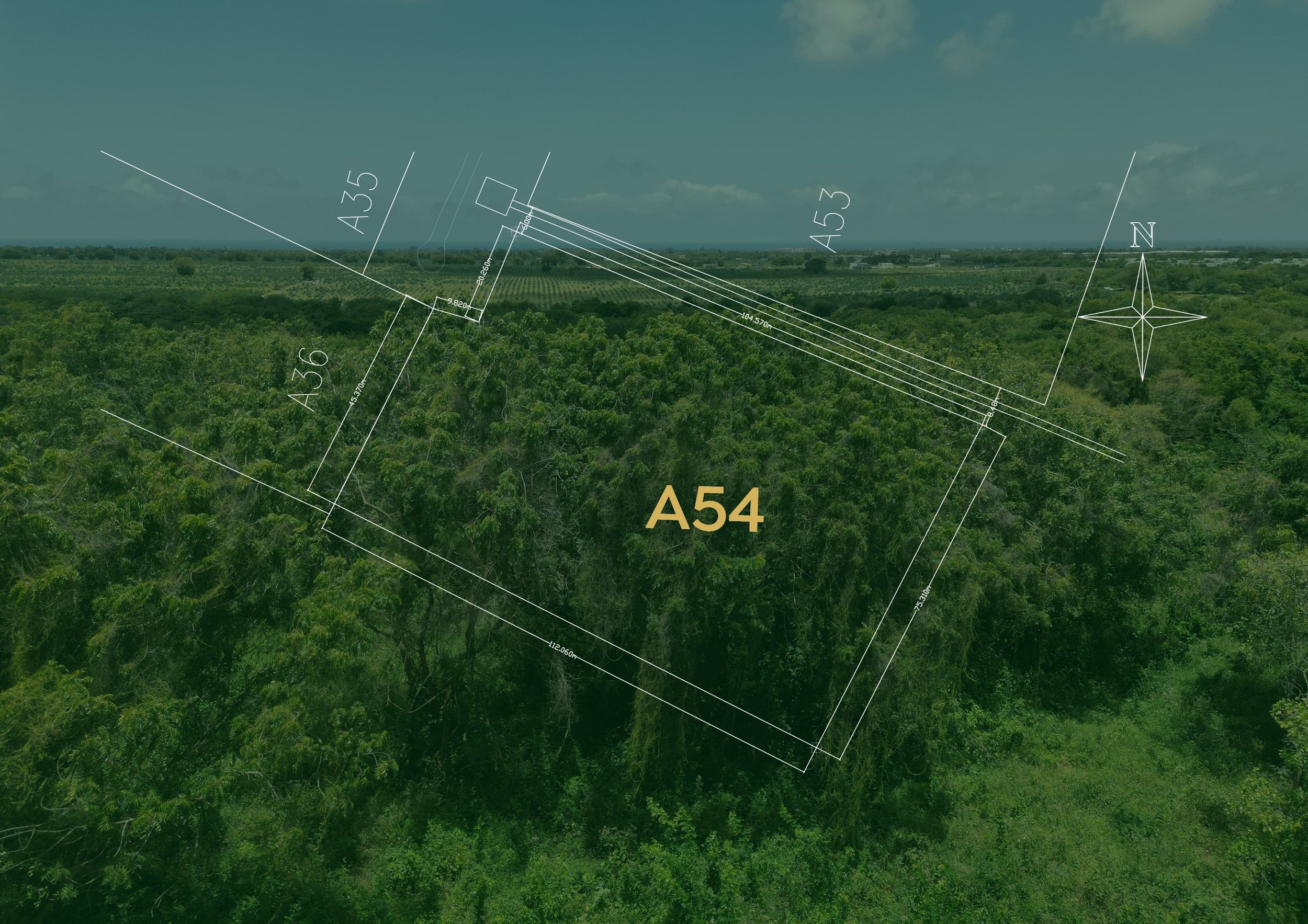 Plot A54-min.jpg