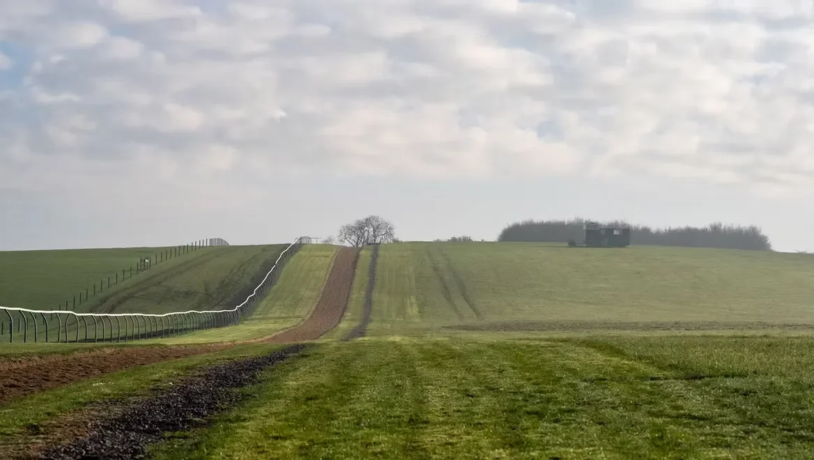 All-Weather Gallops for Racehorse Conditioning 