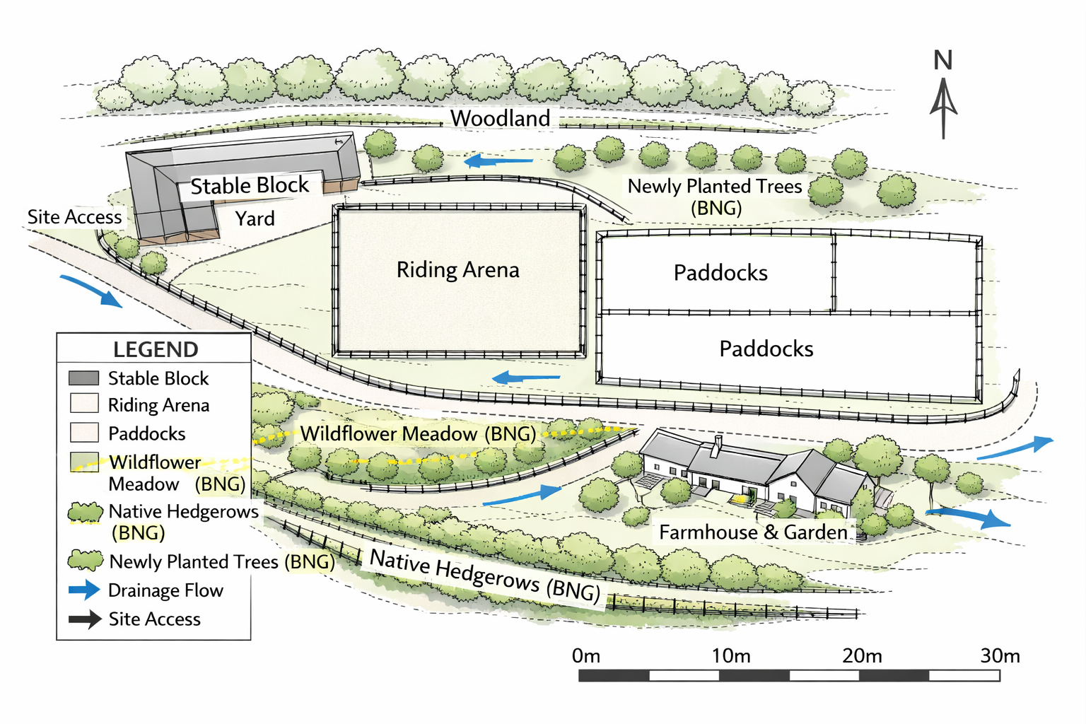 Biodiversity Net Gain (BNG) for Equestrian Developments: What you Need to Know