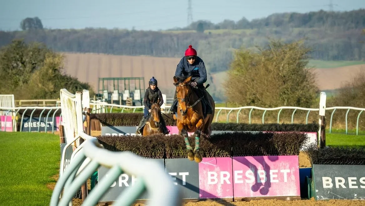 Two jockeys riding horses over a hurdle during a steeplechase race on a grassy racecourse with trees and hills in the background.