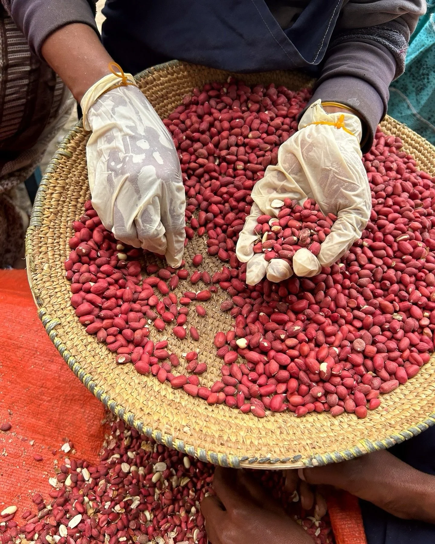 In honor of Black History Month, we wanted to look back on our Chef &amp; Owner @tigistreda&rsquo;s travels to Sudan and Ethiopia to raise money for @hpn4tigray 🧡⁠
⁠
HPN4Tigray is a non-profit providing crucial humanitarian relief efforts to women a