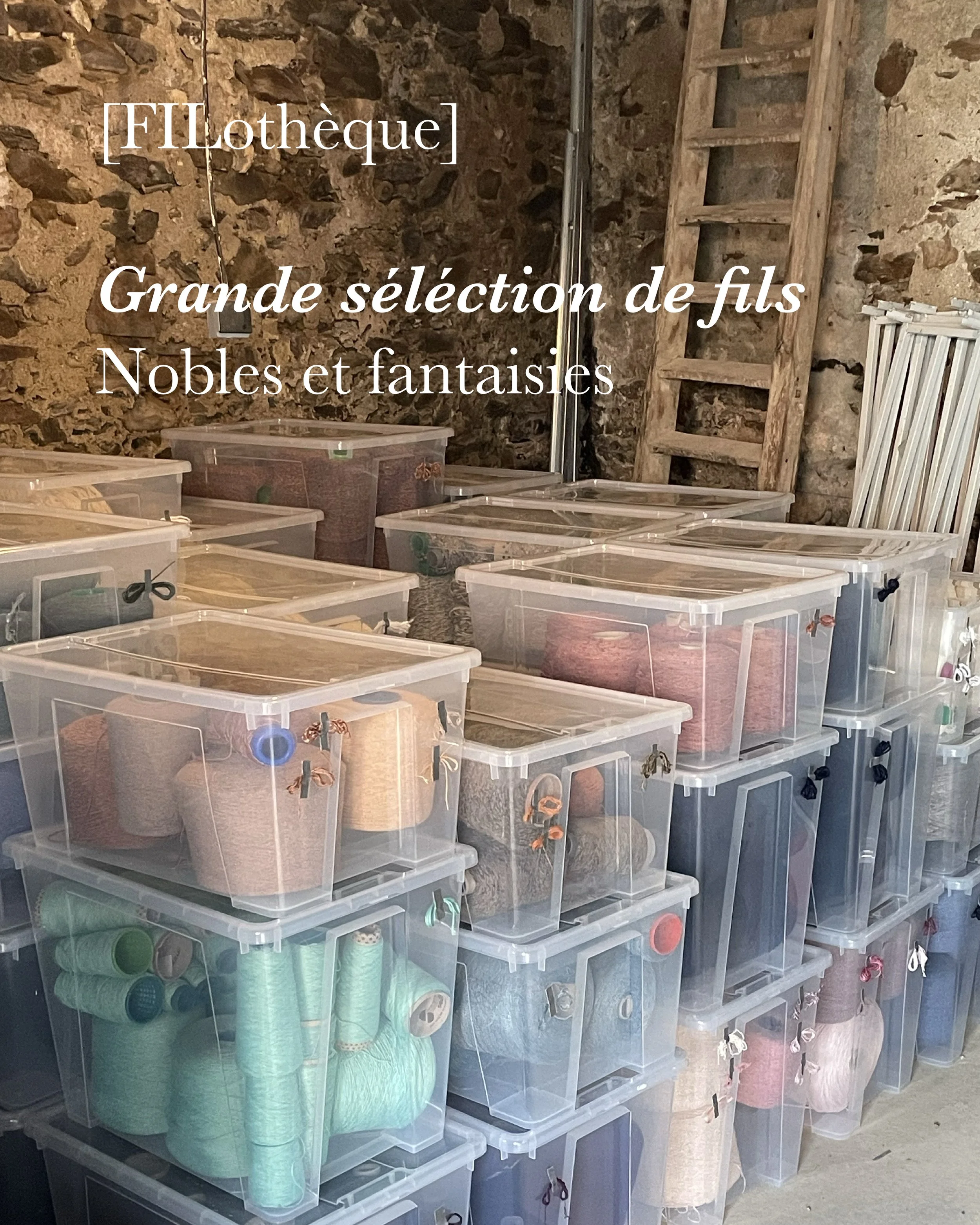 Filothèque en cours d'aménagement