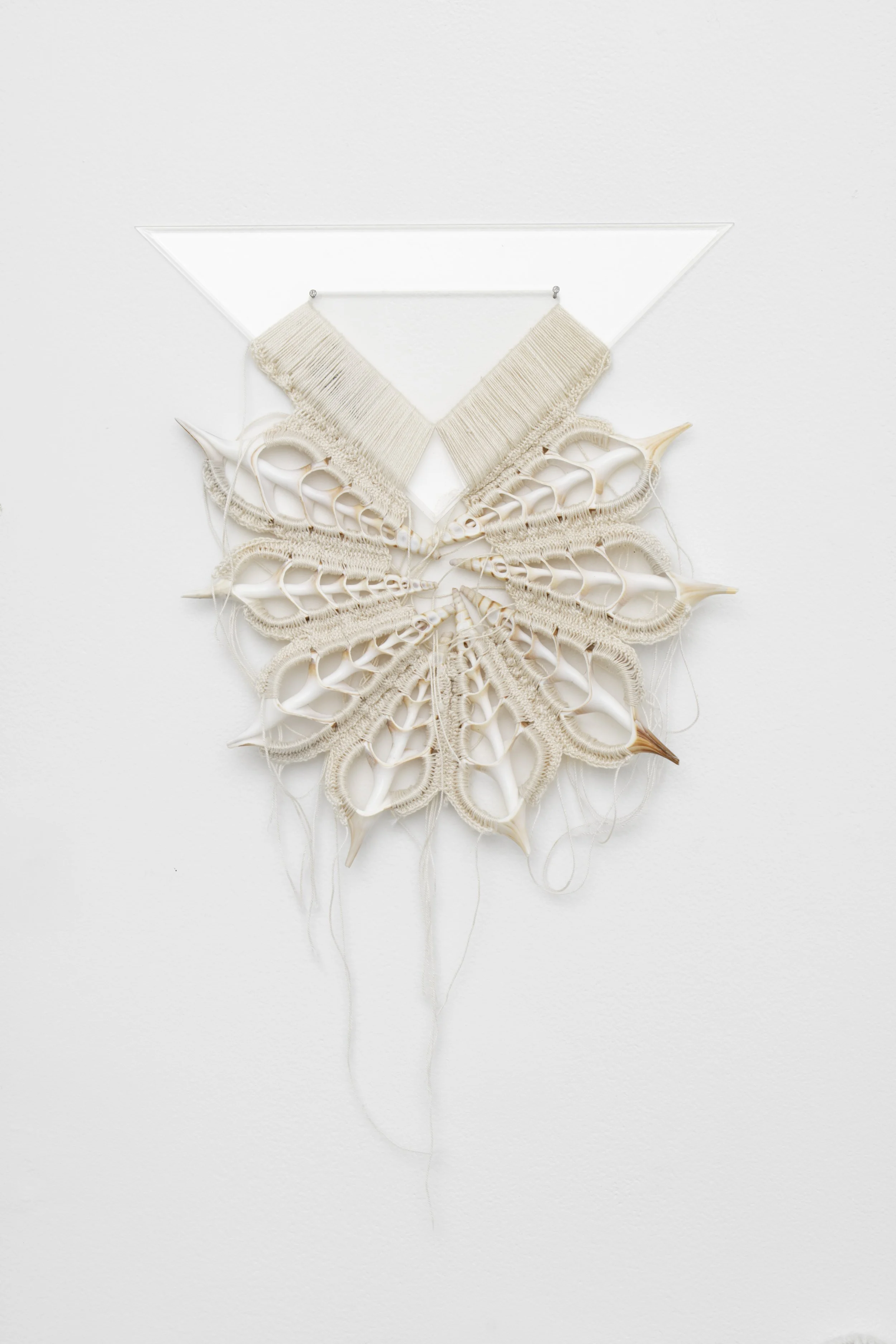 FL 2023-Silvana Mc Nulty Histoires Naturelles-029 copie.jpeg