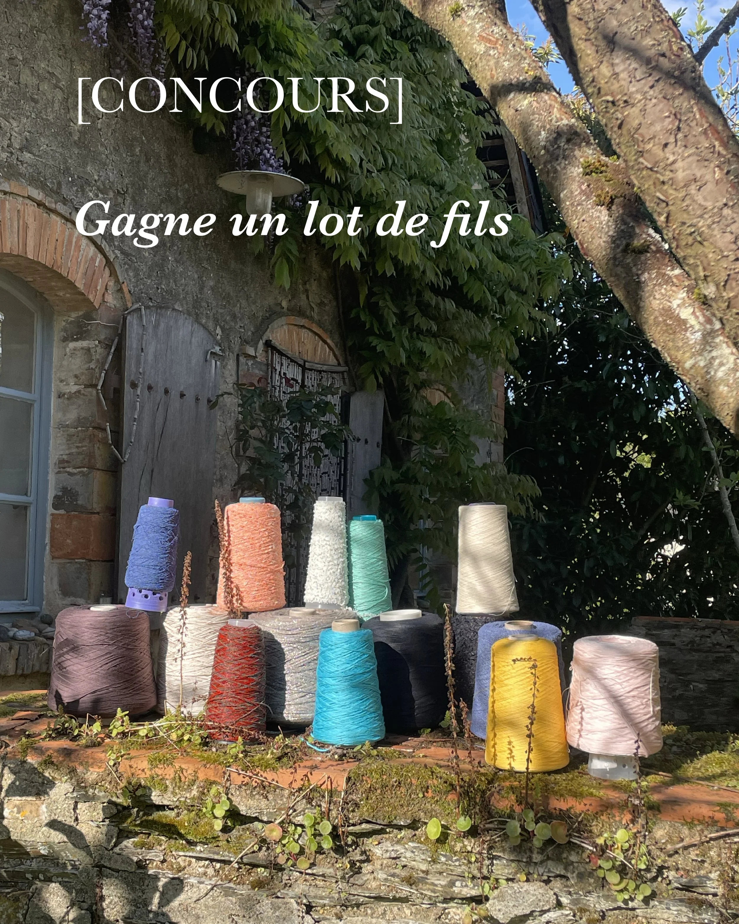 Filothèque en cours d'aménagement