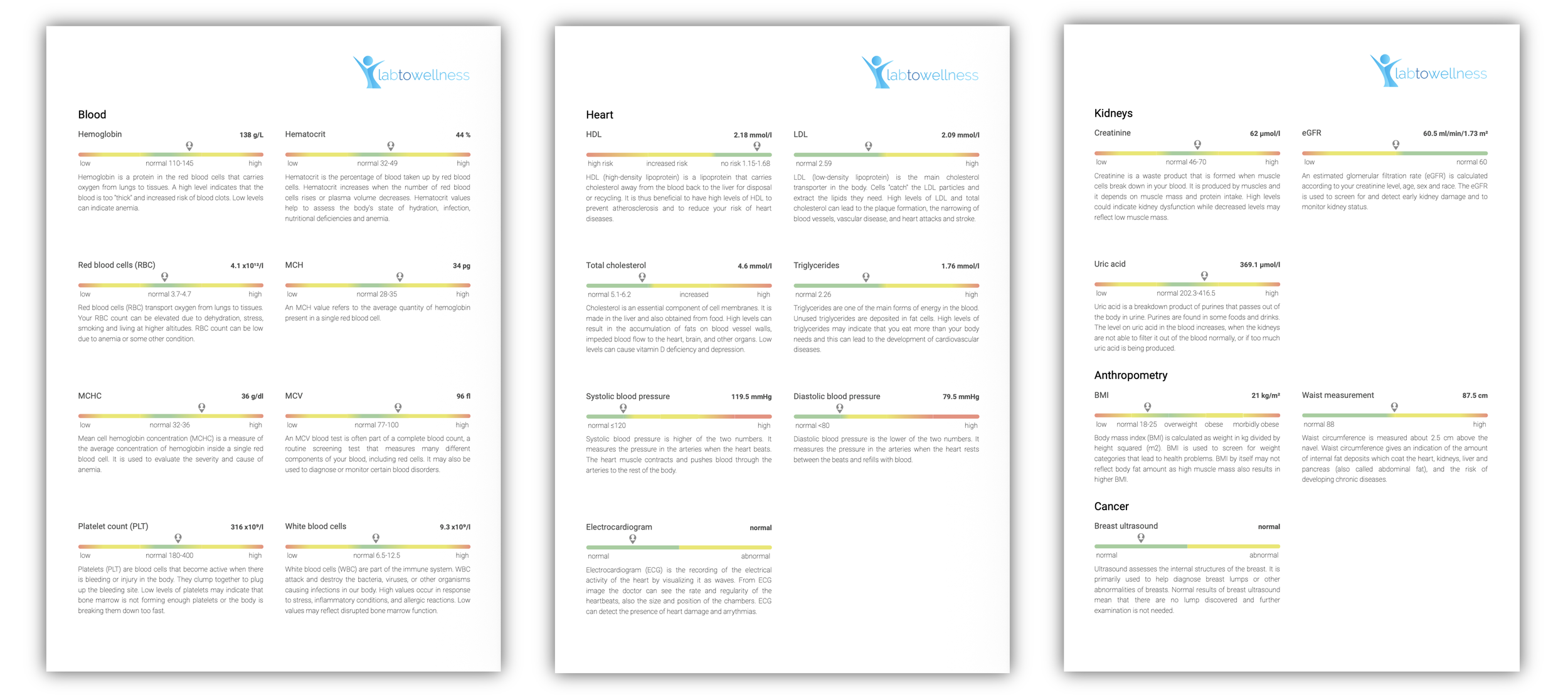 LabToWellness health report showing blood, heart, kidney and anthropometry results with consistent visual design