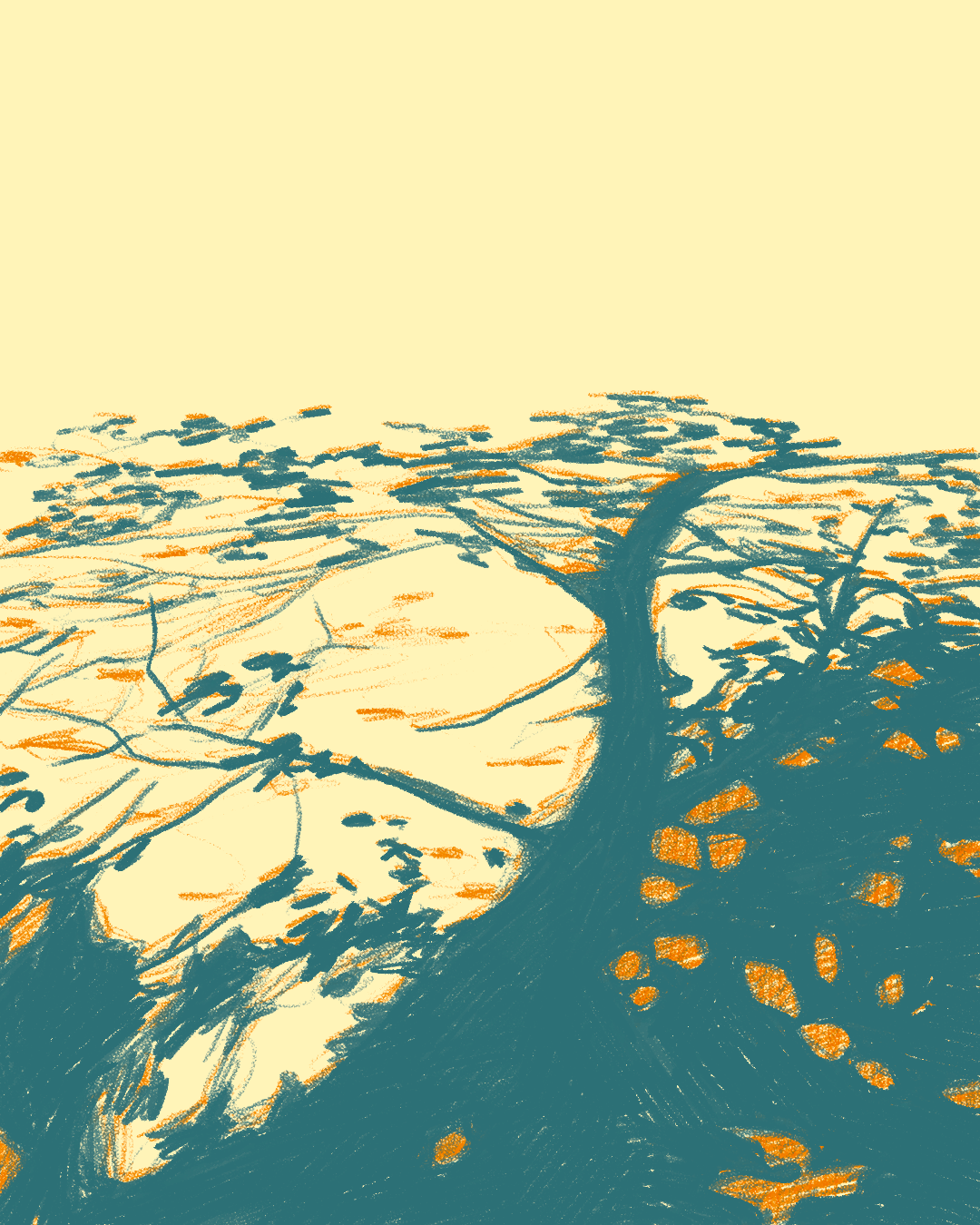 Shadows 1.png