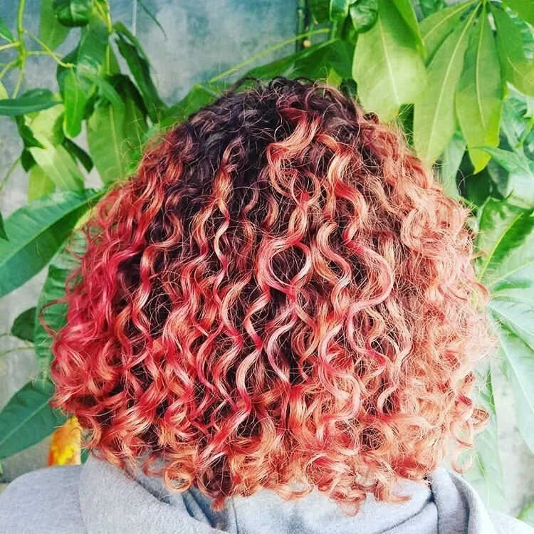 Back view of a person with shoulder-length curly hair that is black at the roots and transitions to red and orange at the ends, standing in front of green leafy plants.