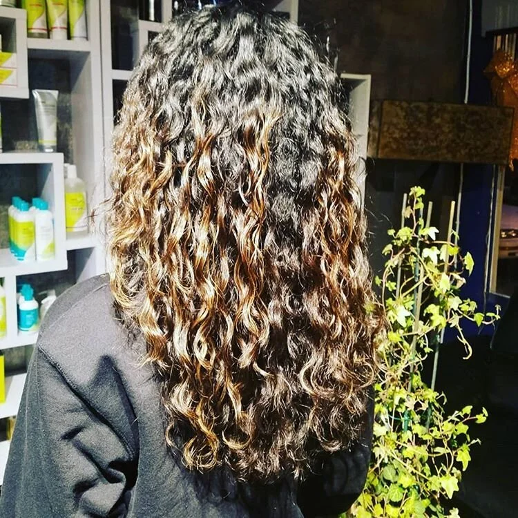 Back view of a person with long, curly hair that is dark at the roots and gradually lightens to a warm brown towards the ends, standing indoors near a plant and shelves of hair products.