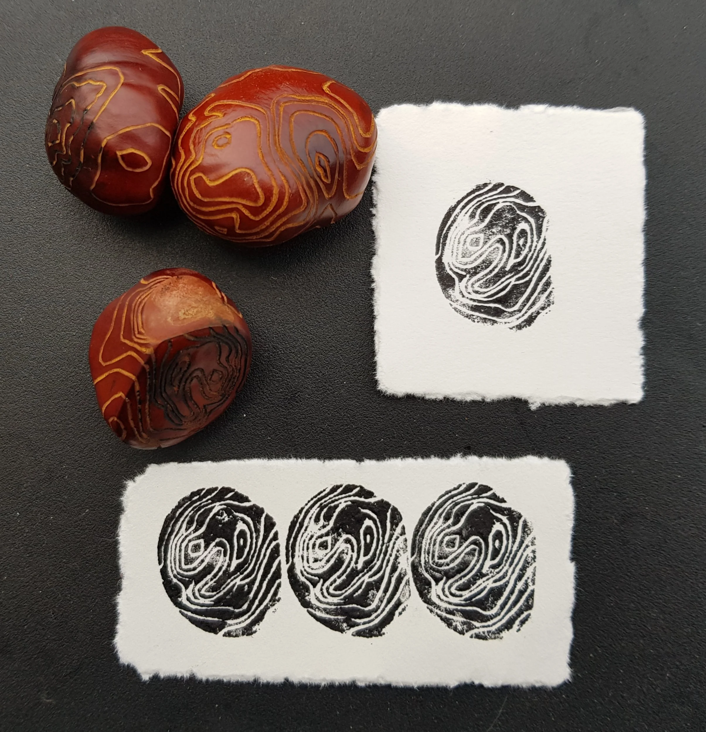 Carved conker relief prints 2021