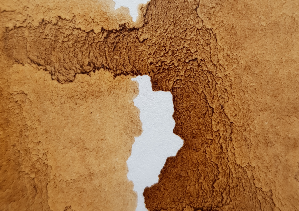 Dendrite monotype with handmade natural ink 2022
