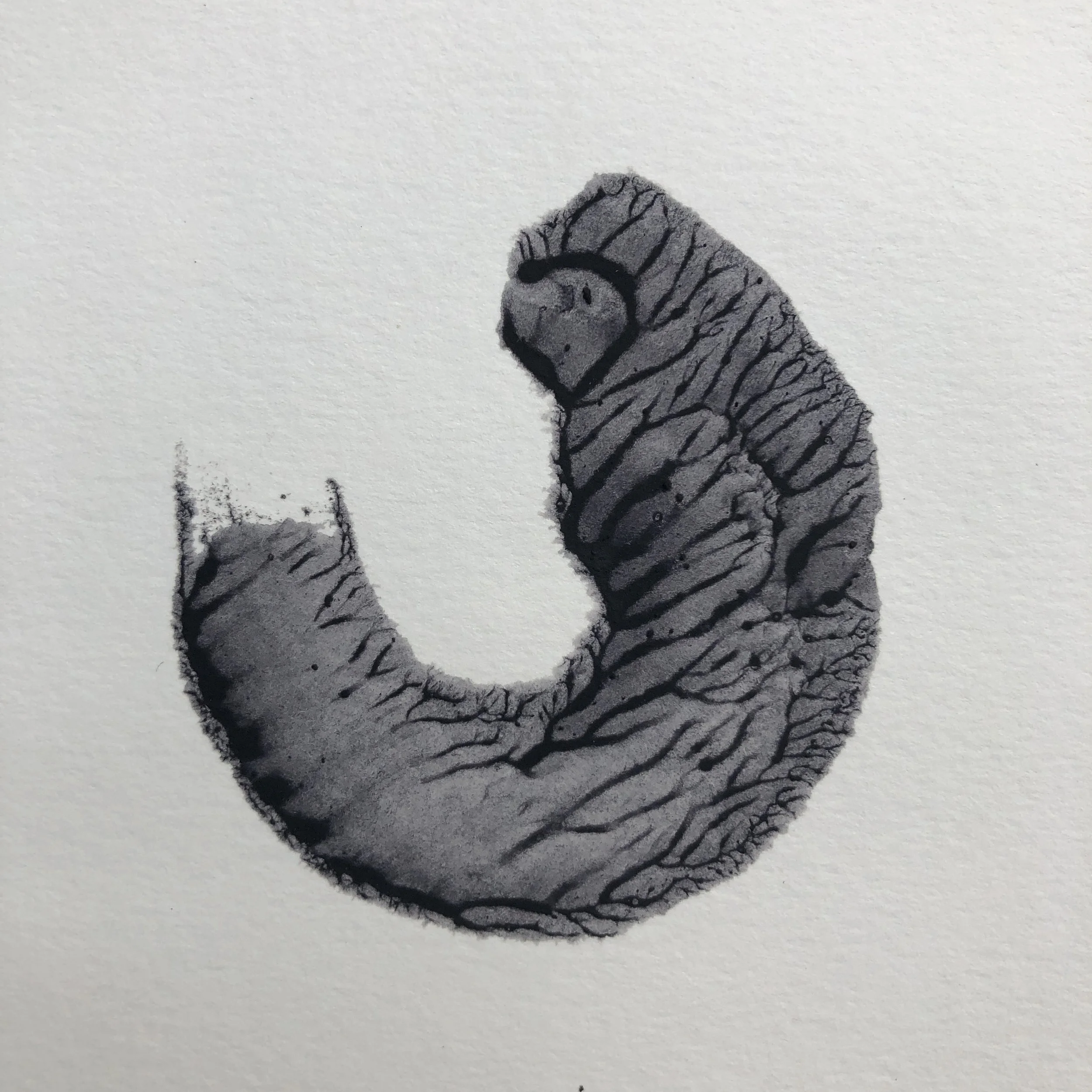 Dendrite monotype with handmade natural ink 2022