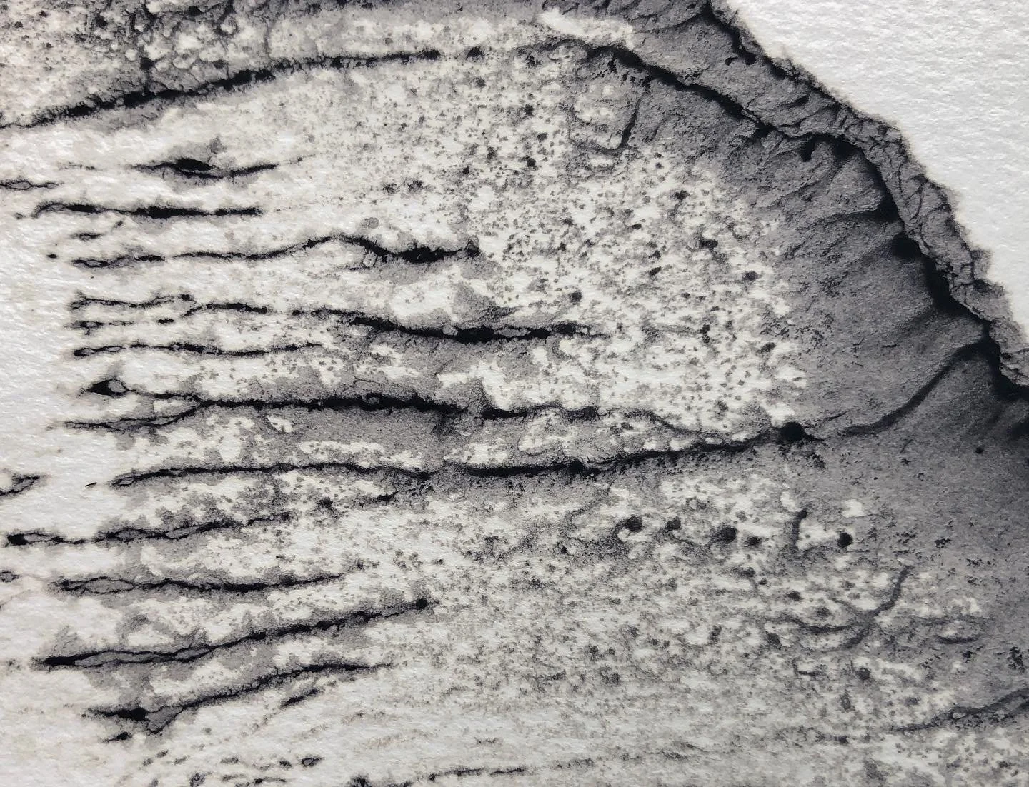 Dendrite monotype with handmade natural ink 2022
