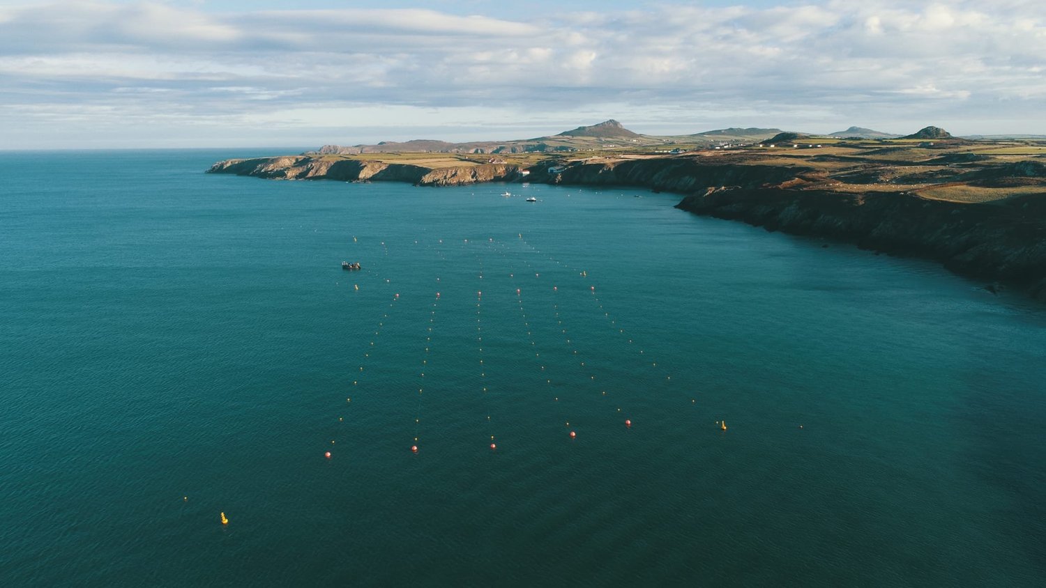 Câr-y-Môr | Wales' first regenerative seaweed & shellfish farm