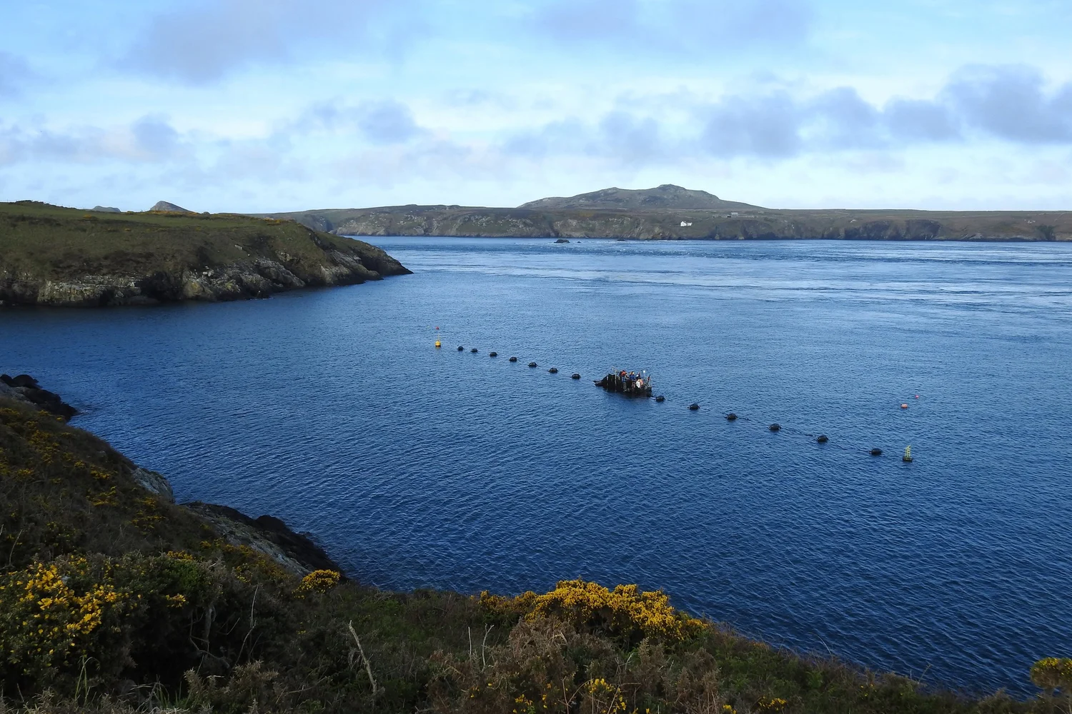 Câr-y-Môr | Wales' first regenerative seaweed & shellfish farm