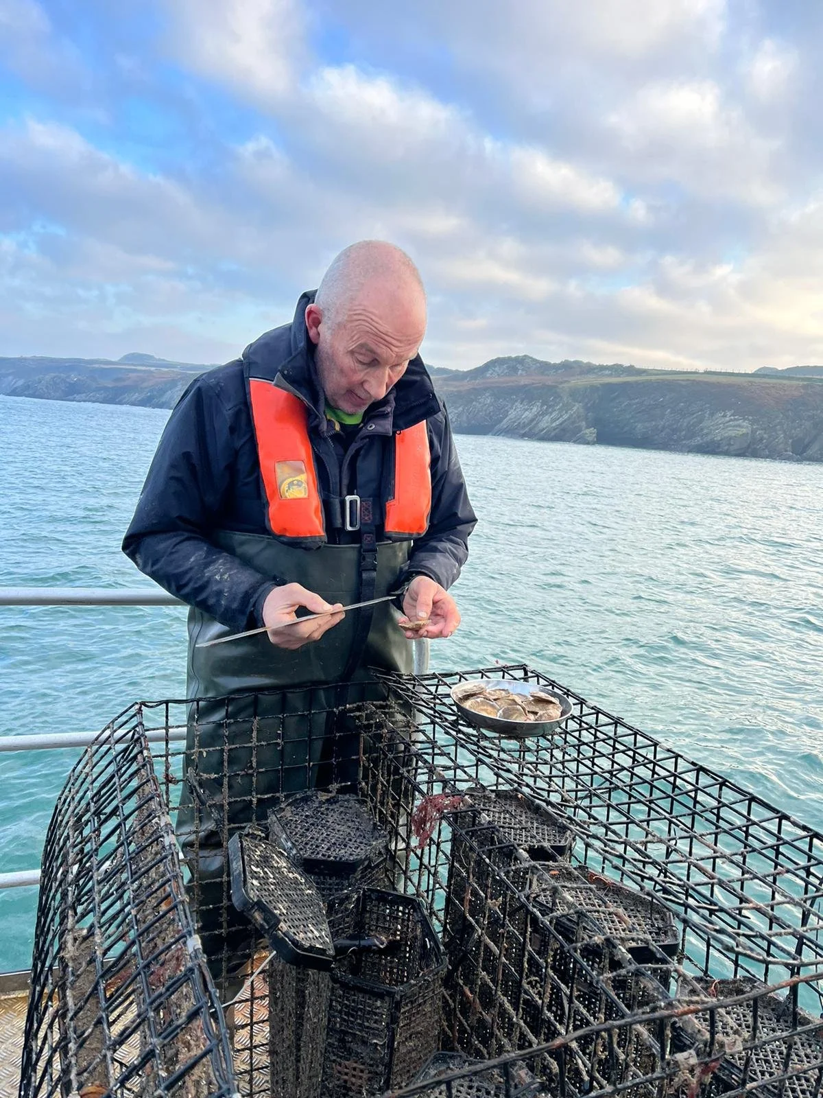 WhatsApp Image 2023-01-25 at 10.40.25.jpeg