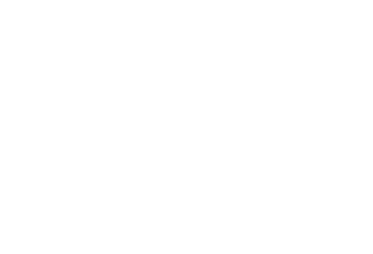 Partners In Crime