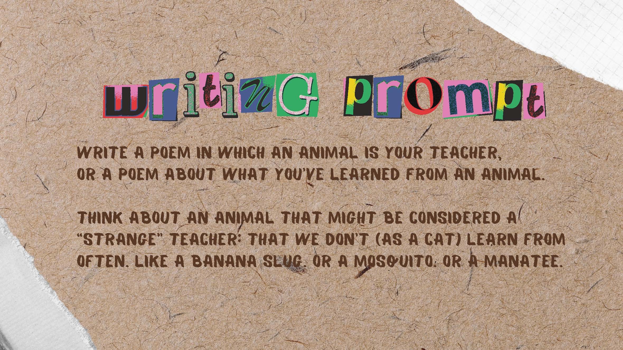 Dr. Carr's Poetry Jukebox Sample Slides_Page_11.jpg