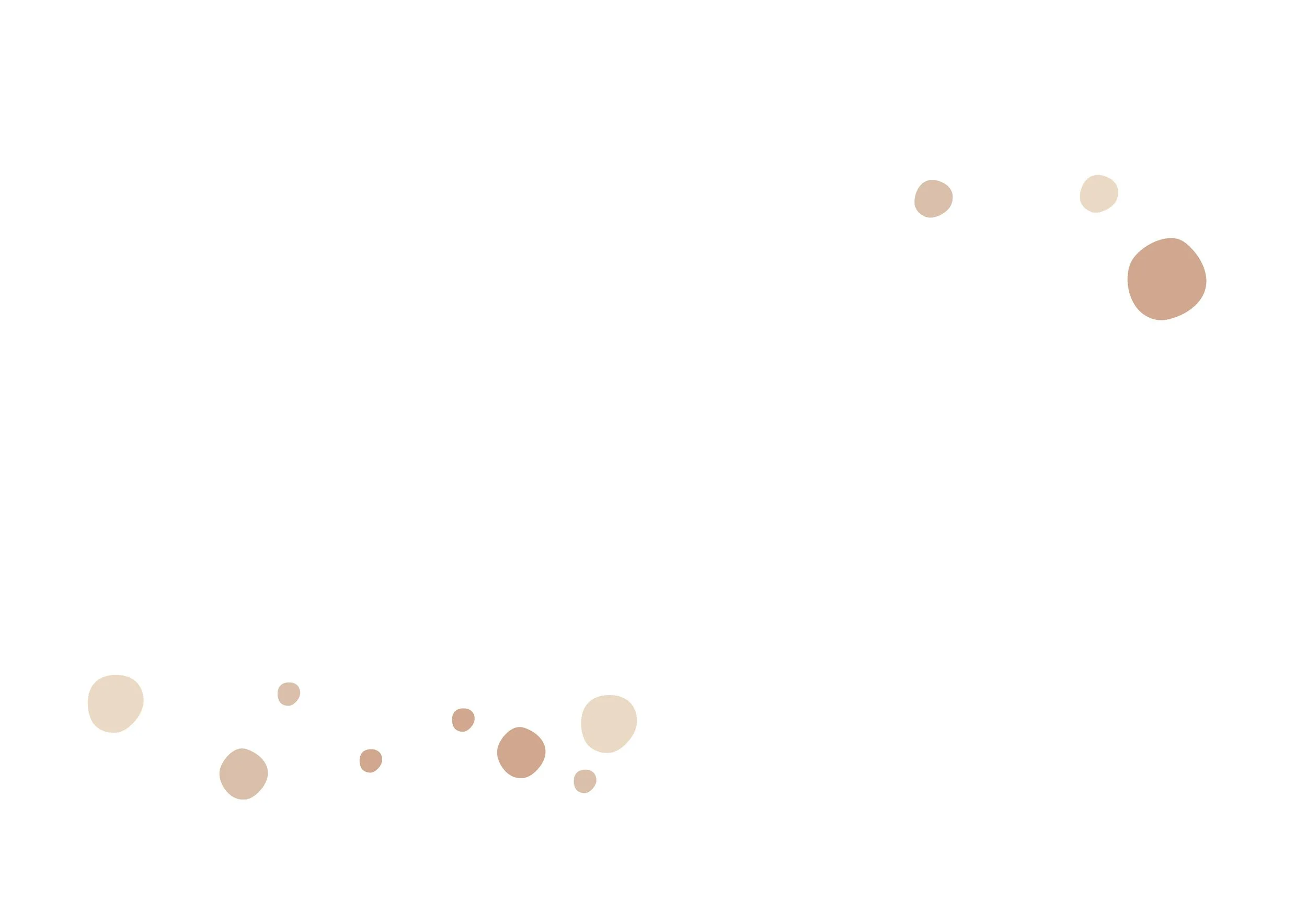 banner-white-dots.jpg