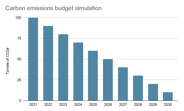 Carbon budget simulation