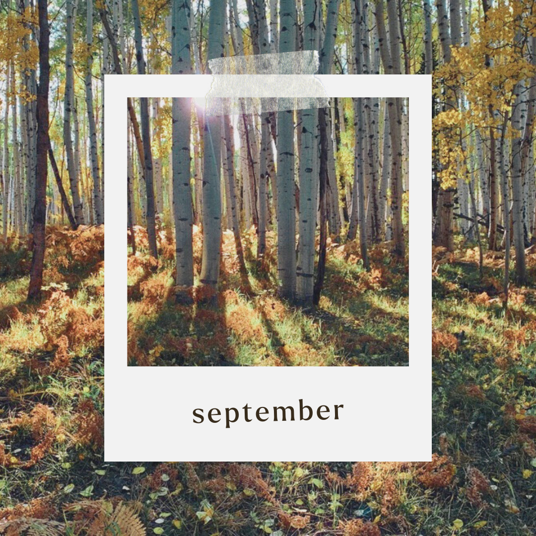 September in Colorado