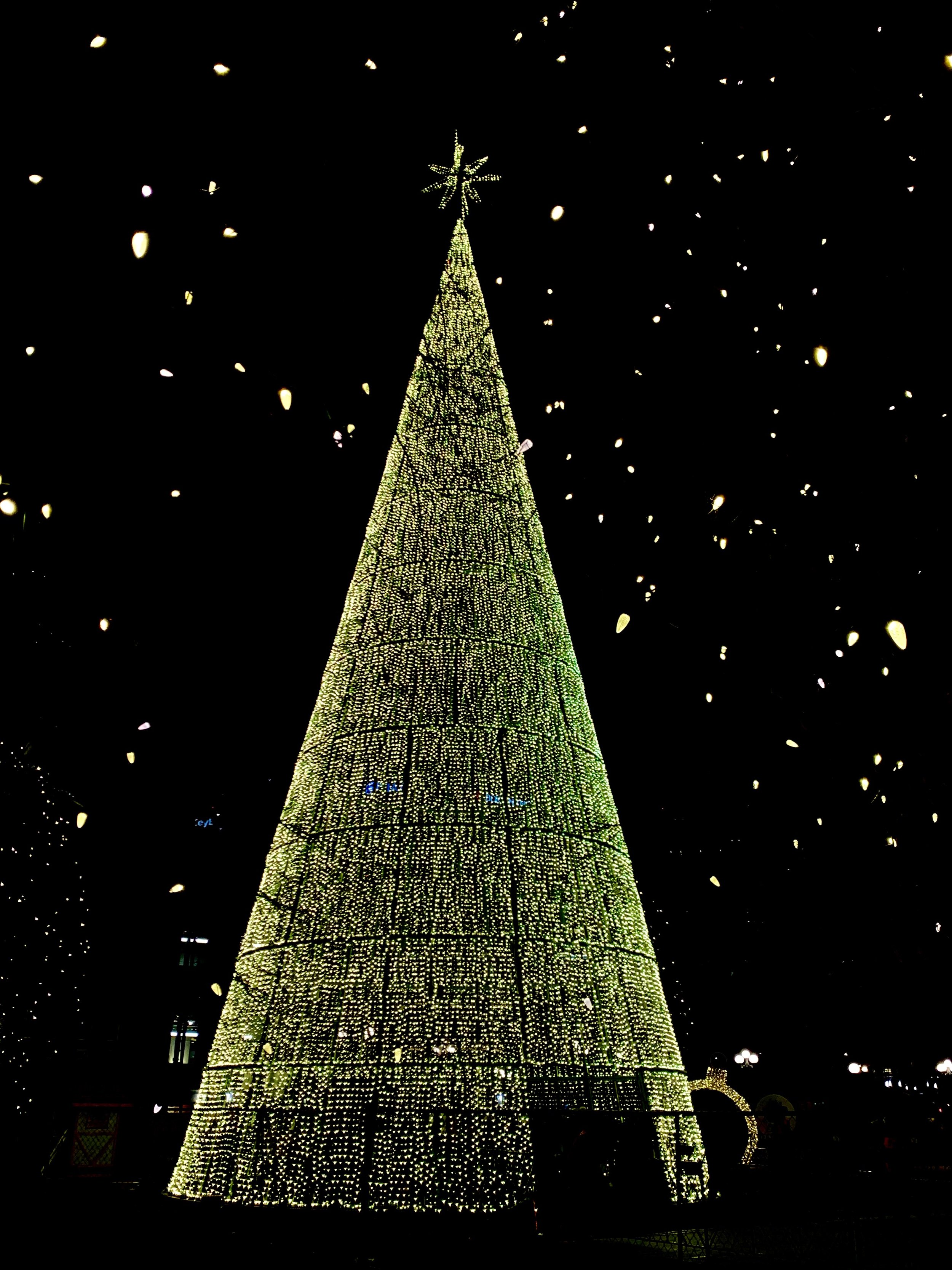 December 2024 Events in Denver