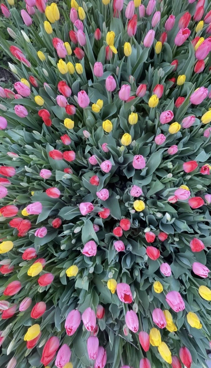 April 2026 Events: Denver and Beyond