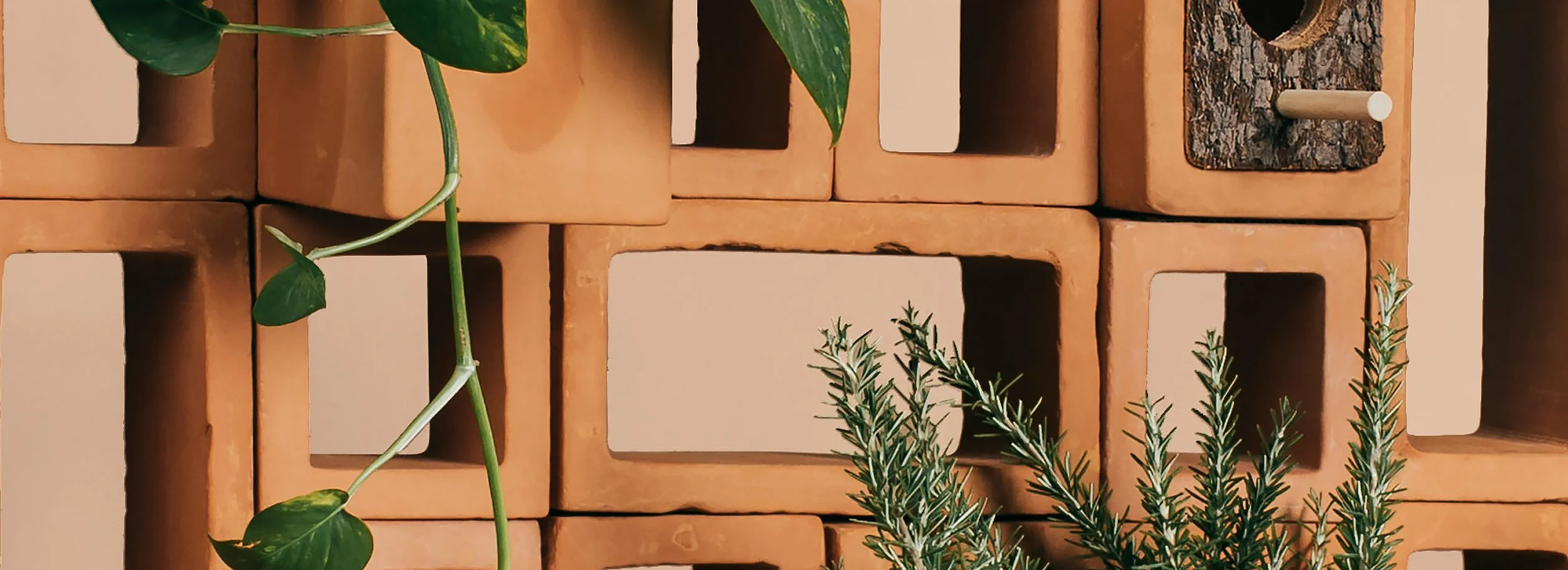 Close up of a ceramic lattice wall for todobarro featuring integrated planters and a birdhouse for urban biodiversity.