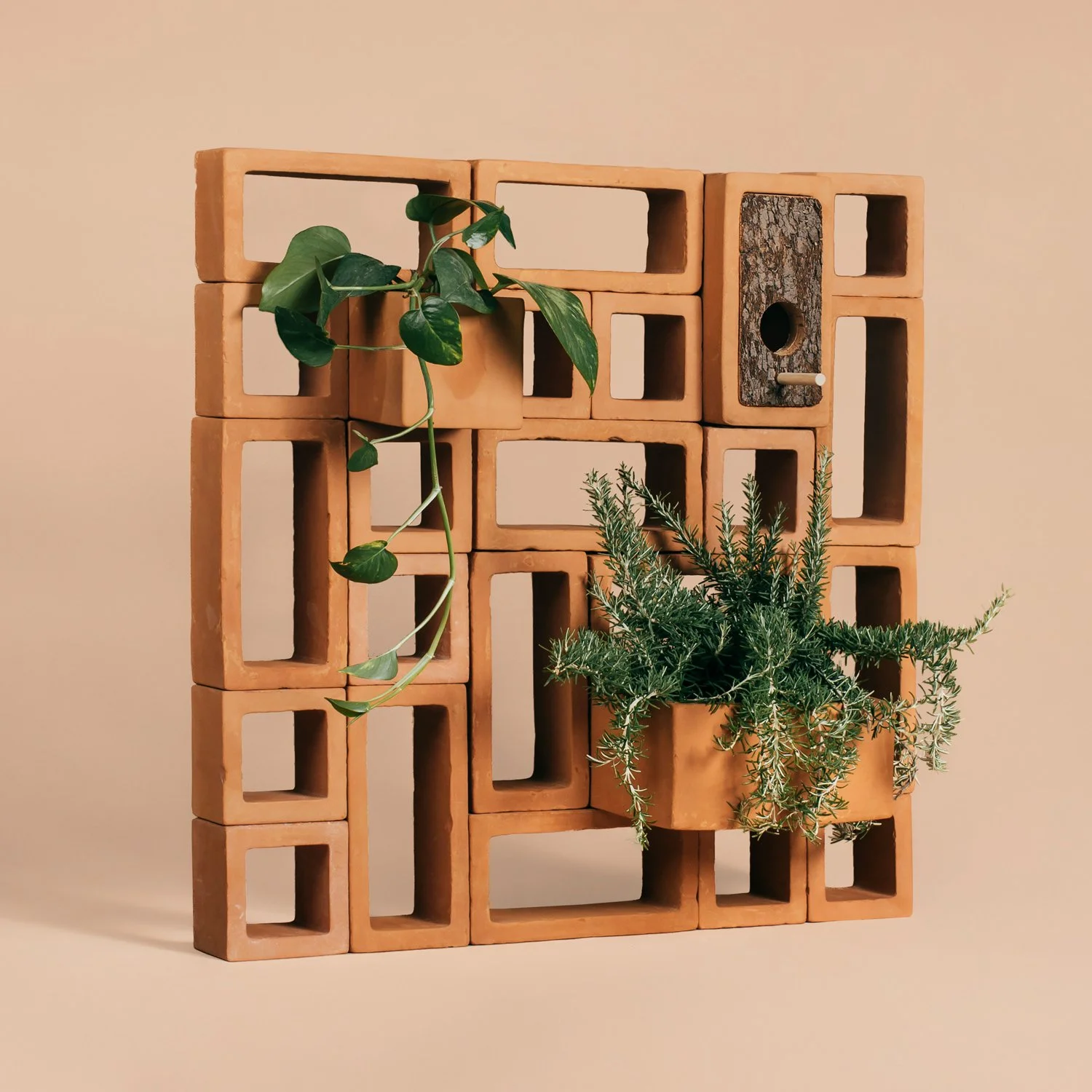 A small architectural screen using Malaga lattices combined with planter modules and a birdhouse to create a living ecosystem.