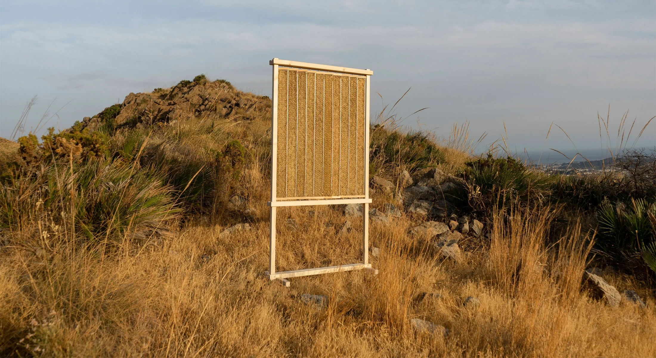 Conceptual photography of the Nür screen placed within a natural esparto field in Spain to highlight its material origins.