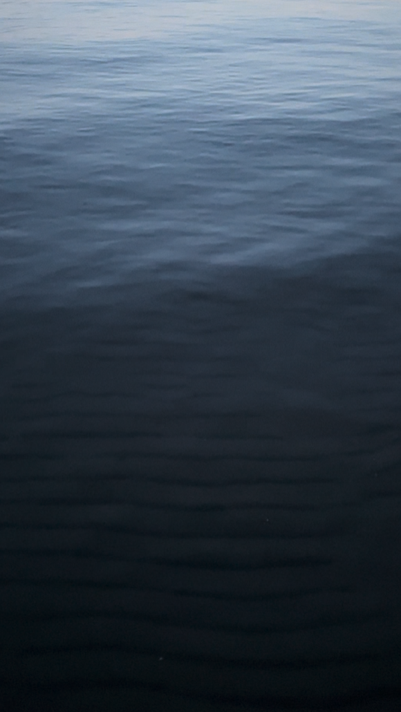 Lake Life Calm Waters Video