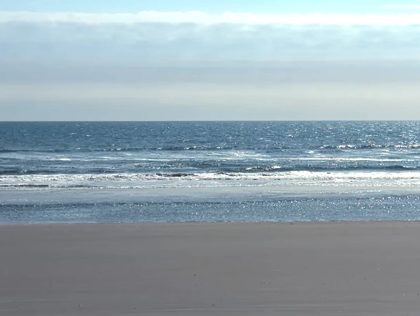 Screenshot 2026-03-02 at 3.36.28 PM.png