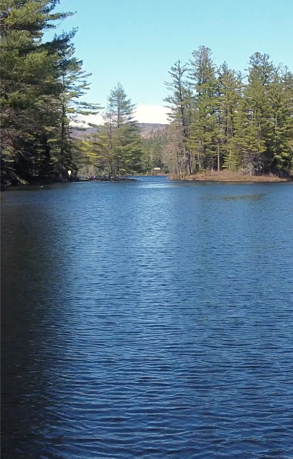 Vermont Creek 4K Video