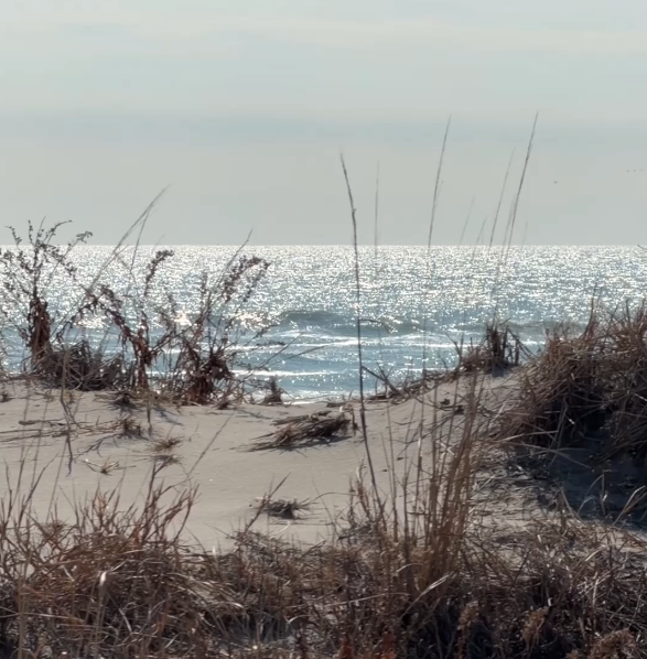 Screenshot 2026-03-02 at 3.28.28 PM.png