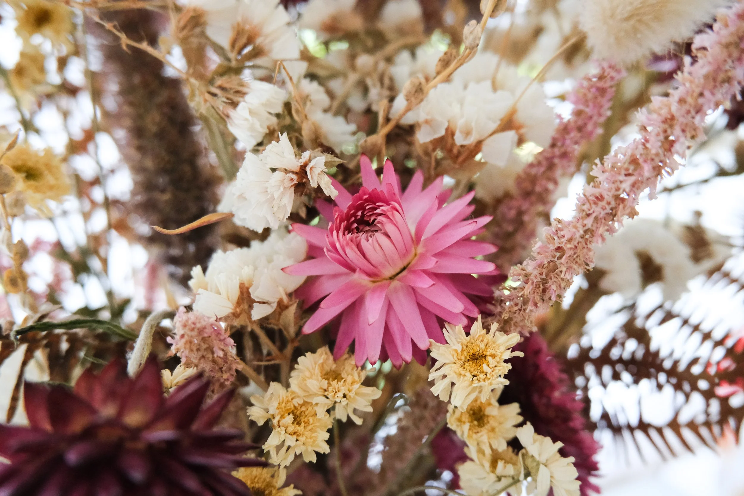 Flower.jpg