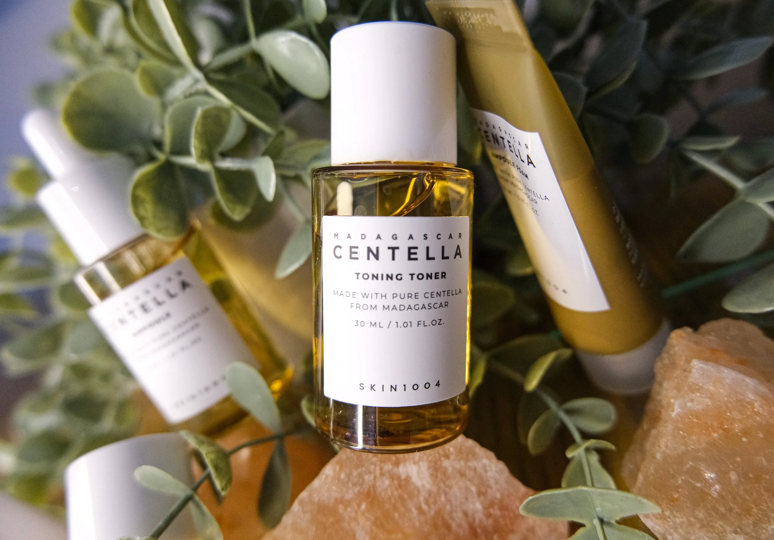 Centella 3.jpg