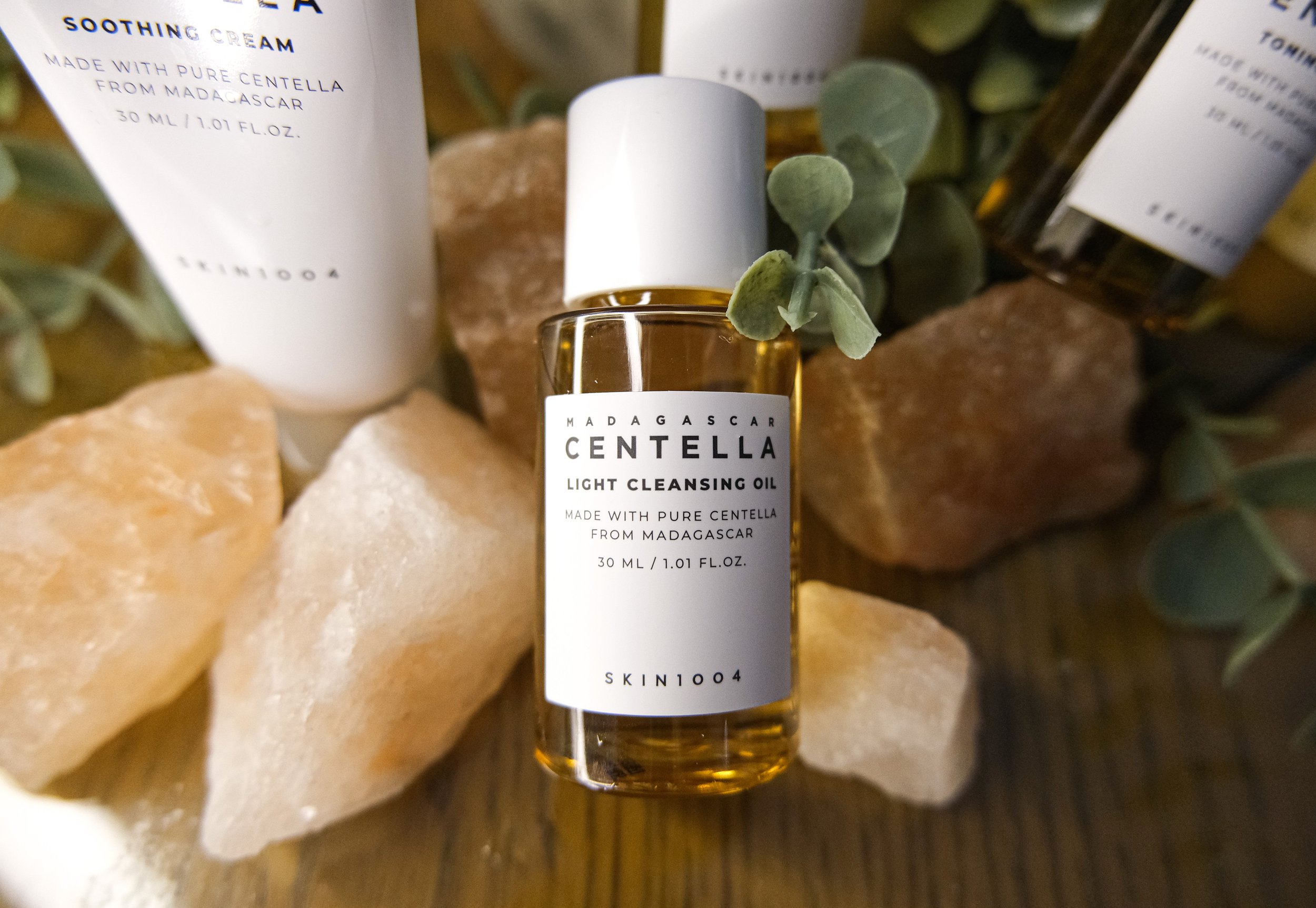 Centella 2.jpg