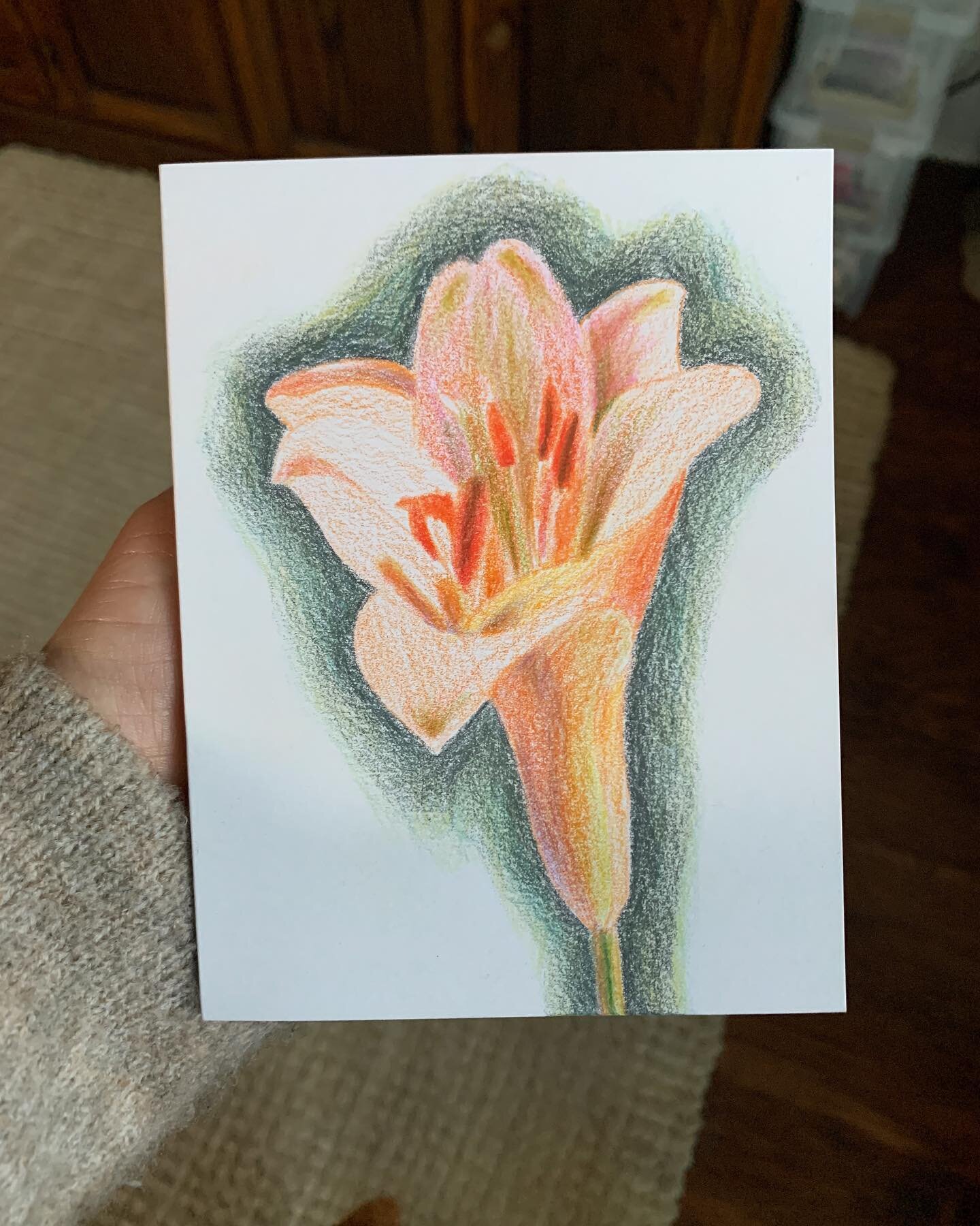 Peach colored lily 

#lilyflower #peachlily #drawingflowers #botanicalart #botanicaldrawing #coloredpencil #drawingpractice #observationaldrawing #floralart