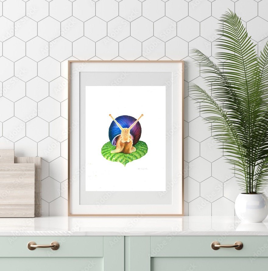 https://i.etsystatic.com/34125011/r/il/880069/4031736399/il_fullxfull.4031736399_k2jz.jpg