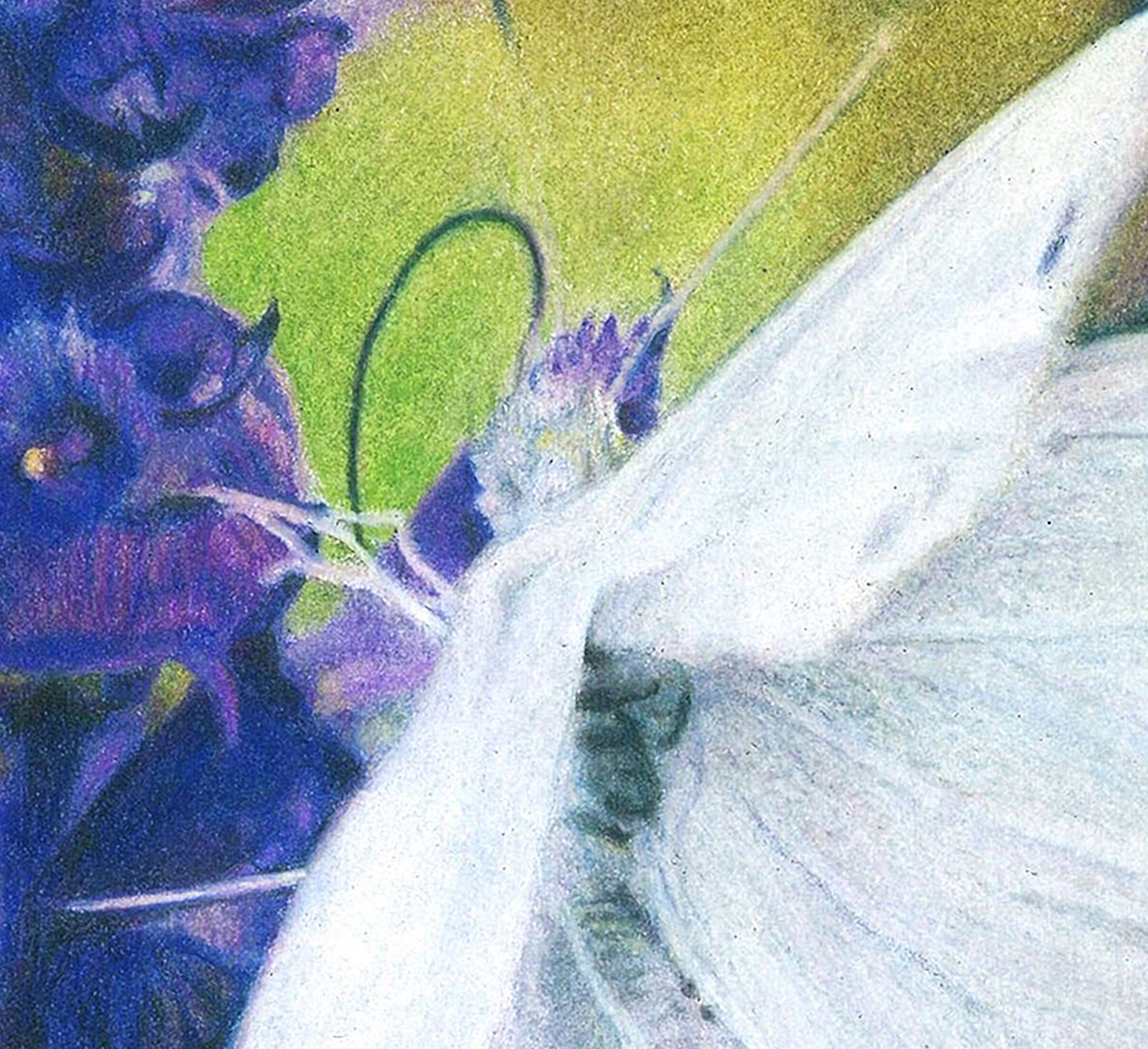 https://i.etsystatic.com/34125011/r/il/3f203e/3746249776/il_fullxfull.3746249776_pmwu.jpg