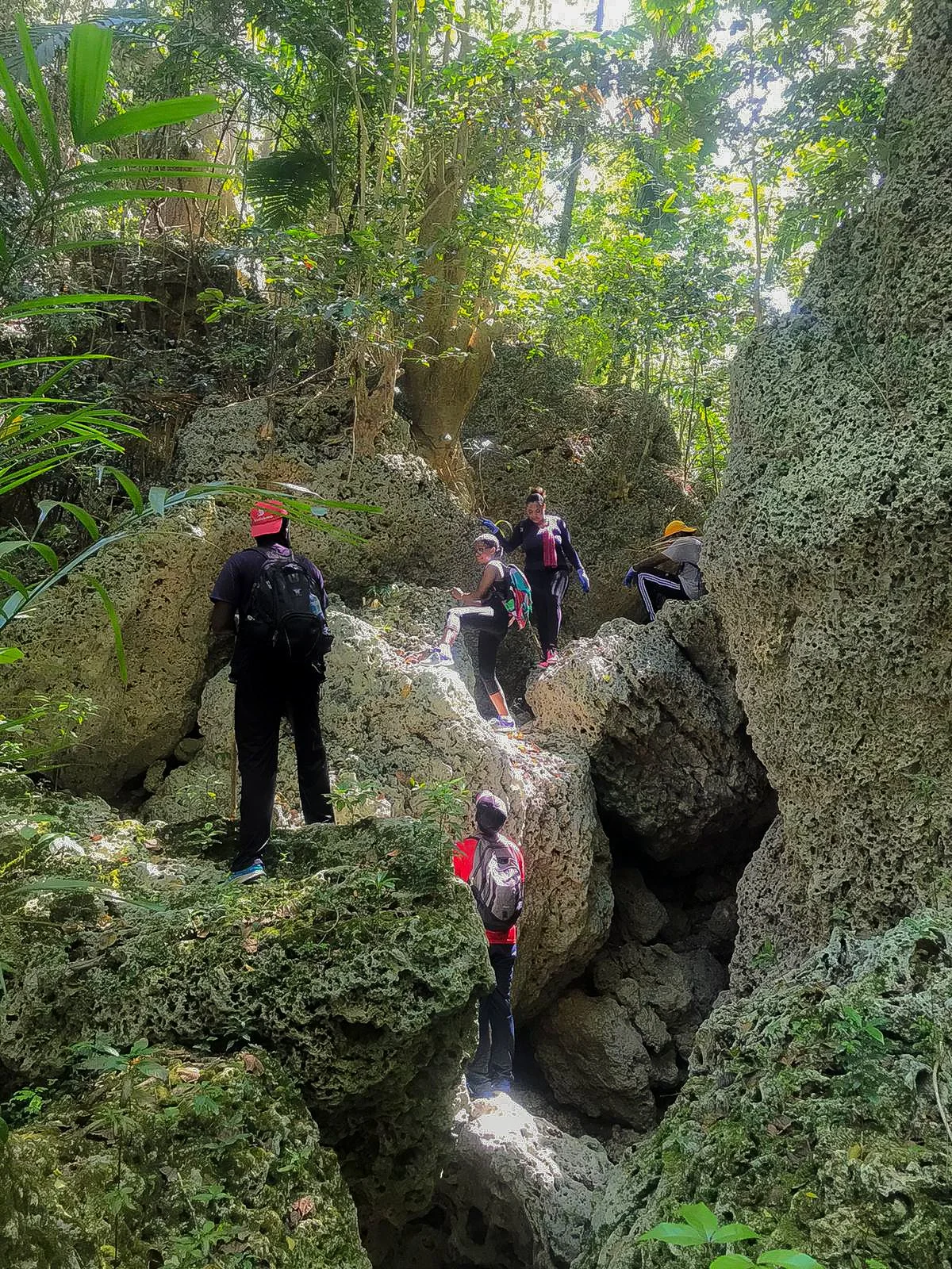 Lascelles Gully Hike - River.jpg