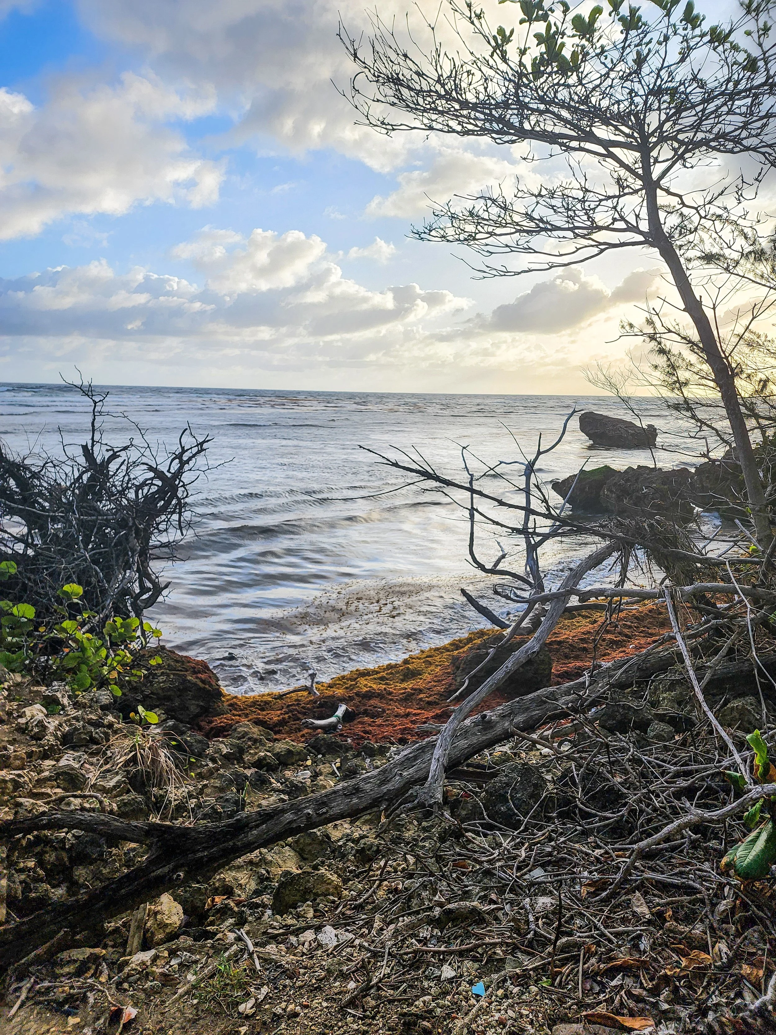 Coast trail