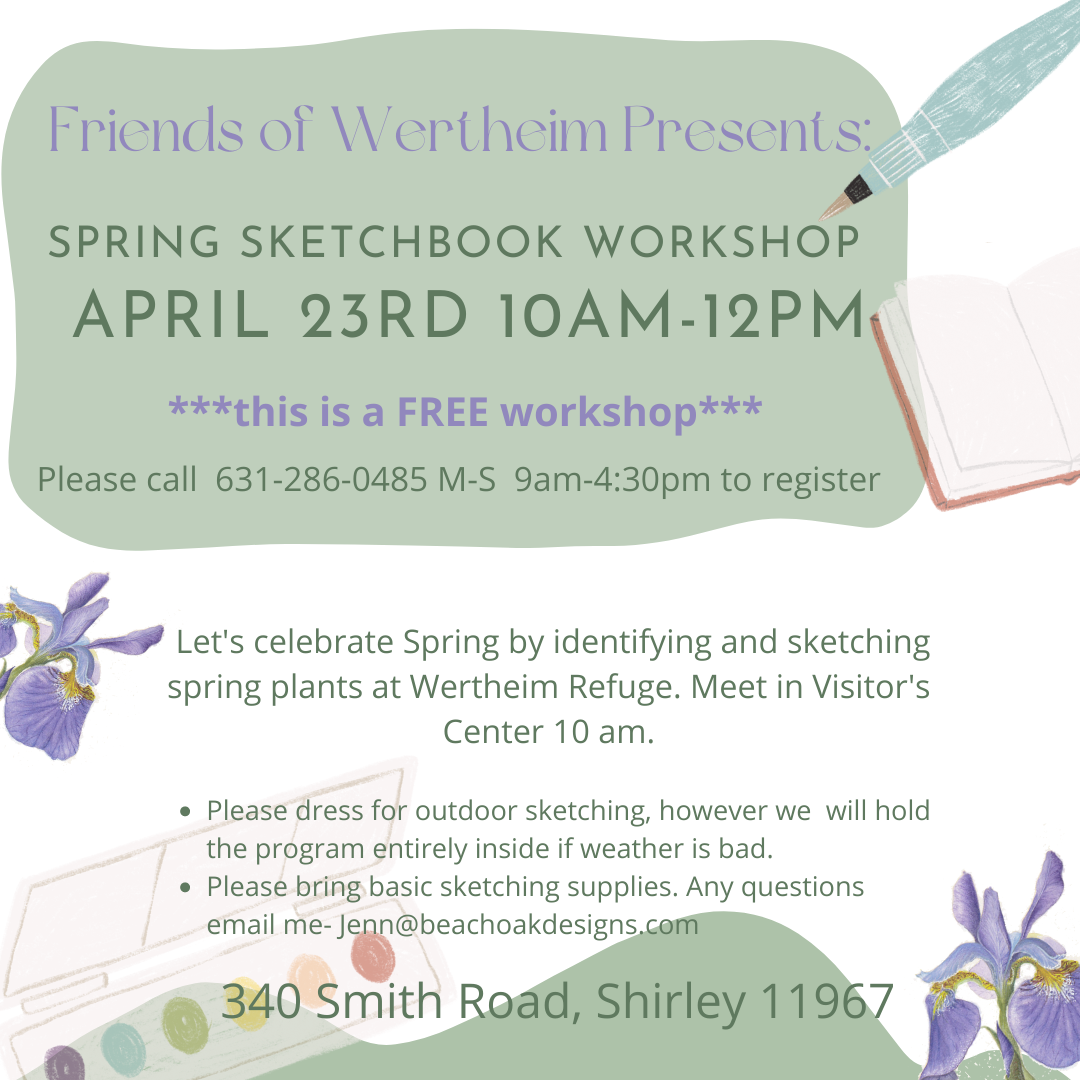 Sketching Spring Plants