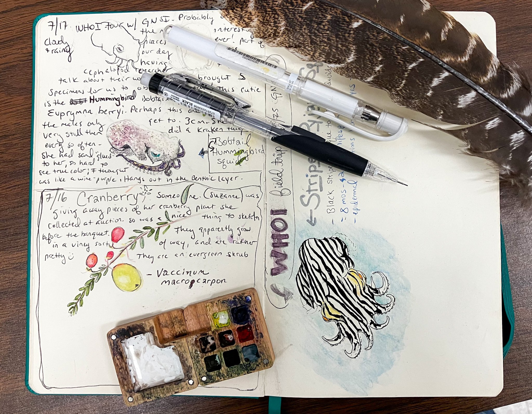 Nature Journaling at Quogue Wildlife Refuge