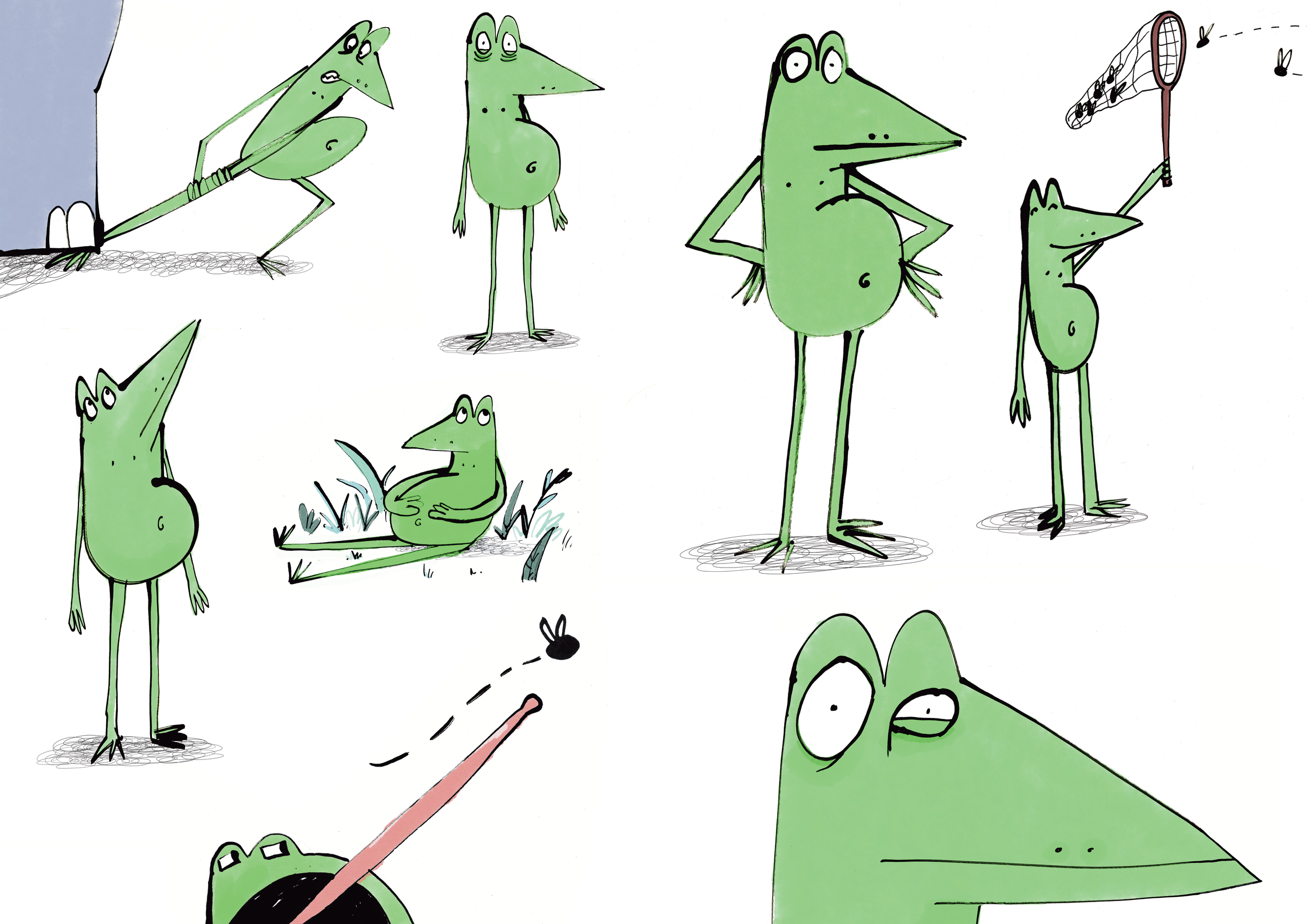 Frogs in colour.png