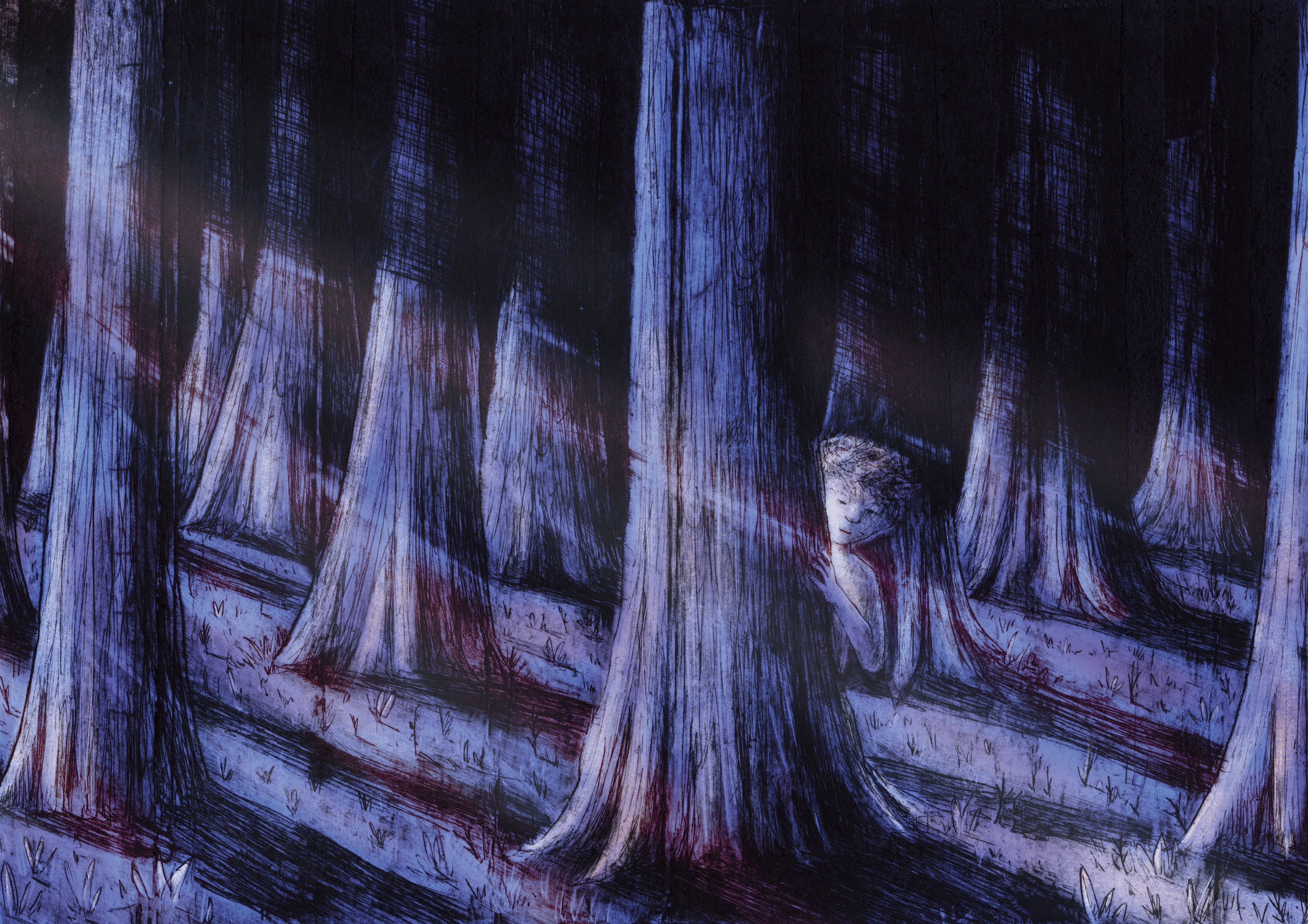 boy-in-woods.png