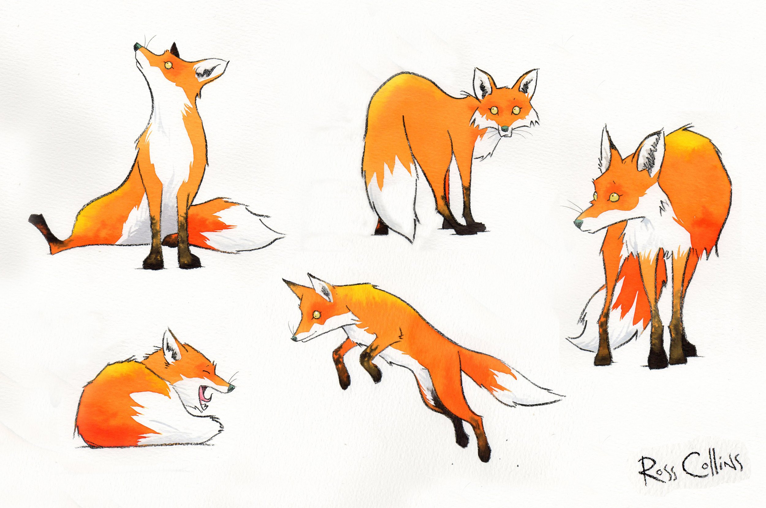 Ross Collins Fox.jpg