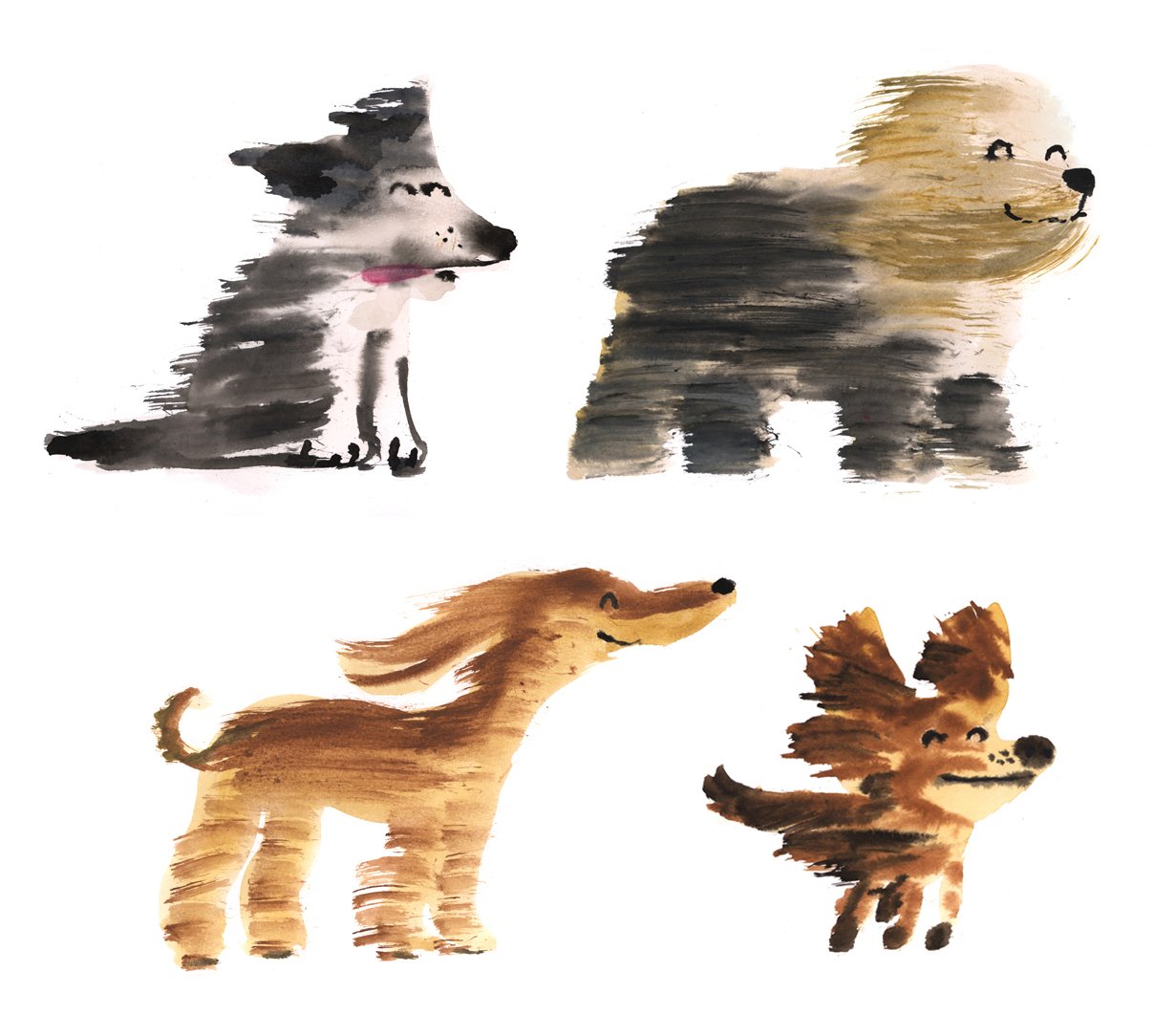 windy dogs.jpg