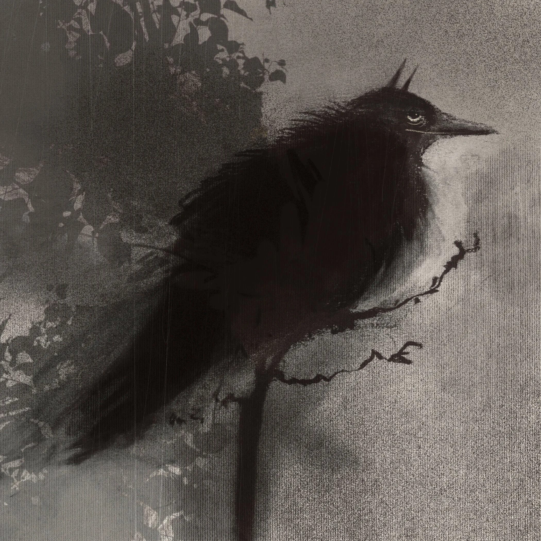Devil Crow.jpg
