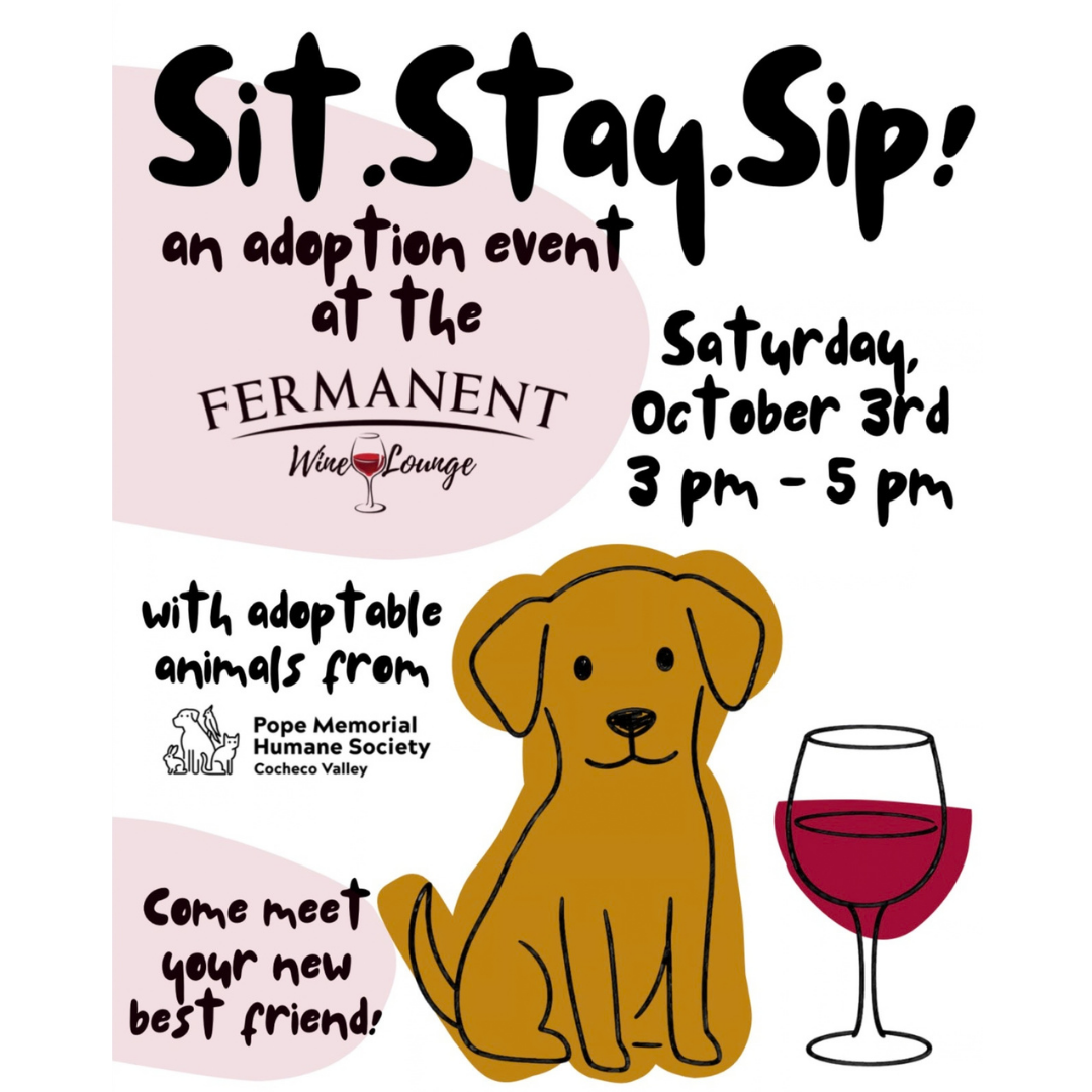 Sips and Snuggles